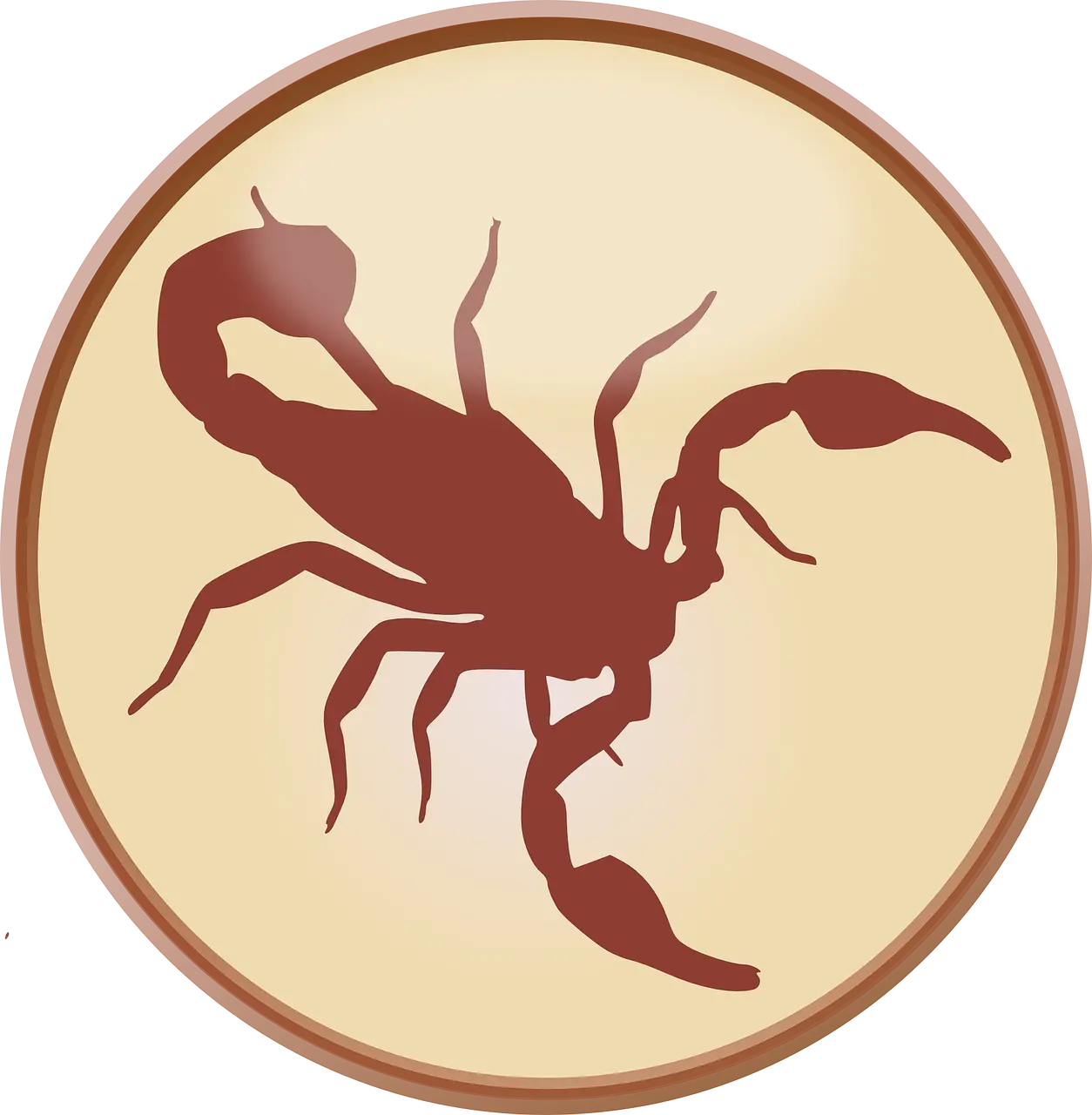 Rapu